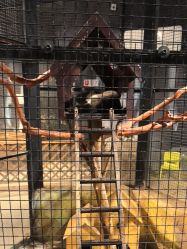 -酷嗒动物文化乐园(cutezoo西溪乐天城店)