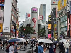 -涩谷区
