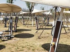 -天津东丽湖风景区