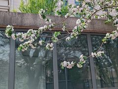 -王府井(地铁站)