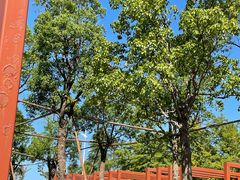 -春花秋色城市公园