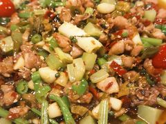 -新蜀会四川豆花(五羊店)
