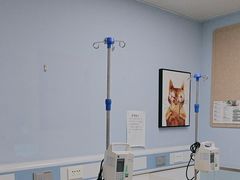 -纳吉亚猫专科动物诊疗中心(蒋宅口分院)