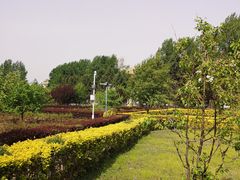 -吉林大学(前卫南区)