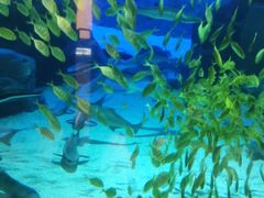 -成都浩海立方海洋公园