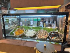 -季季山·云南野生菌火锅(上海首店)