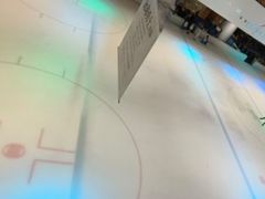 -TheRink大零溜冰场(IFS国金中心店)