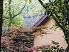 -慧因高丽寺