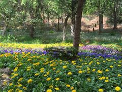 -云南民族大观园