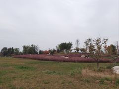 -汉长安城未央宫国家考古遗址公园