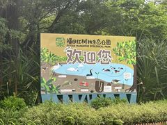 -福田红树林生态公园