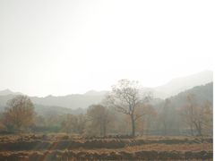 -塔川景区