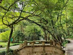 -石门洞景区