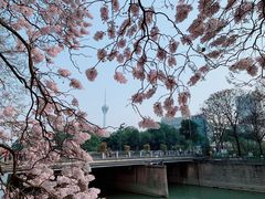 -红星桥(地铁站)
