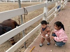 -西部长青自然儿童乐园