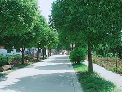 -喜洋洋蟹庄(阳澄湖店)