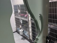 -半岛宠物医院24小时(科华中路店)