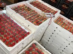 -西郊国际农产品交易中心