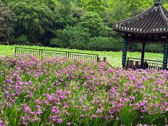 -龙头寺公园