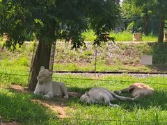 -秦皇岛野生动物园