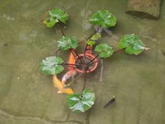 -漫笙舍Manse·咖啡·民宿