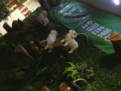 -鹏馨羊羔肉·非遗(新建街店)