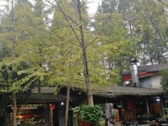 -青城甲(青城山店)