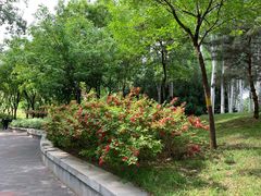 -北极寺公园
