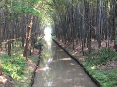 -同里国家湿地公园