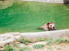 -杭州野生动物世界