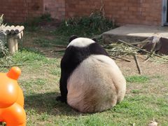 -苏州太湖国家湿地公园