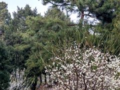 -北京市劳动人民文化宫(太庙)