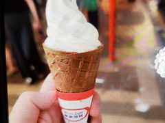 -富豪雪糕车流动点(尖沙咀店)