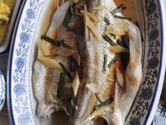 清蒸白水鱼-洞天食府(北大街店)