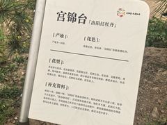 -太阳宫公园