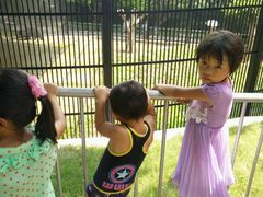 -广东茂名森林公园