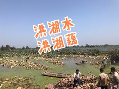 -洪湖生态旅游区