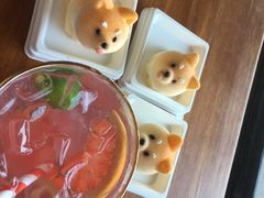 -柴犬高等学院·狗咖·柴犬售卖·宠物训练