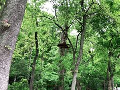 -WeLope紫金山探险公园