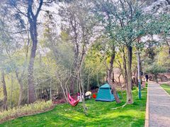 -南京市无想山景区