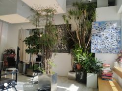 -Hair  Gallery
