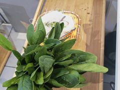 -濠七糟粕醋•海南酸汤火锅(中关村店)