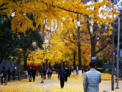 -四川大学(华西校区)