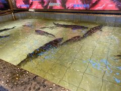 -胖姐渔村(中源大道店)