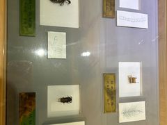 -上海昆虫博物馆