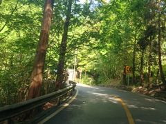 -凤栖山
