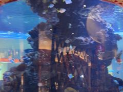 -长隆横琴湾酒店(珠海旗舰店)