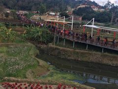 -泉州海丝野生动物世界