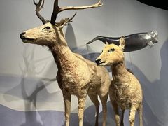 -中国湿地博物馆