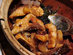 -大鸽饭(体育西路店)